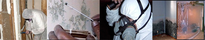 Mold inspection remediation training Mold inspection remediation training